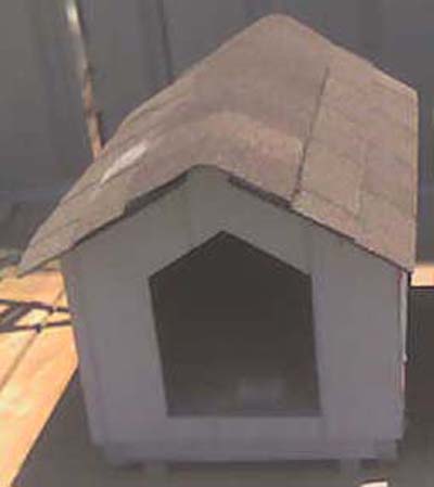 dog_small_white_04