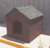dog_xlarge